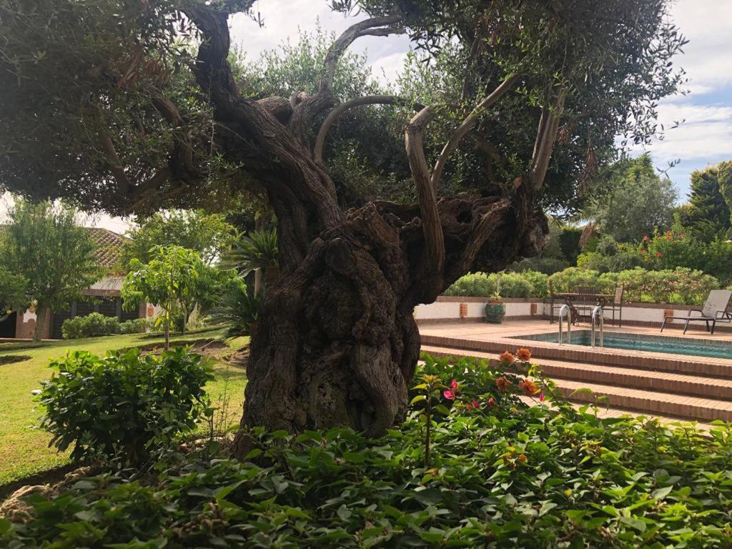 Вилла Authentic Andalucia Марбелья Экстерьер фото